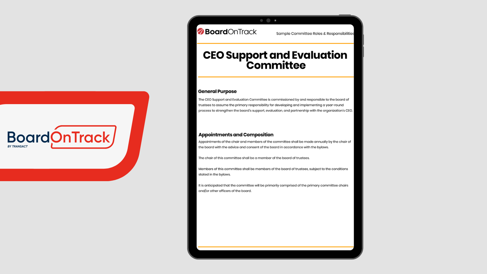 CEO Support and Evaluation Committee